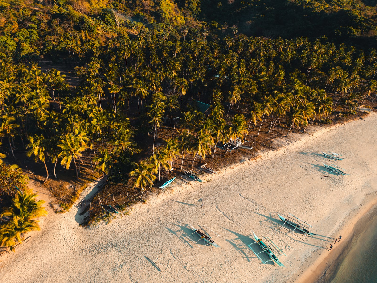 Island hopping boats along the beach in El Nido, Palawan, near the marine sanctuaries this article discusses