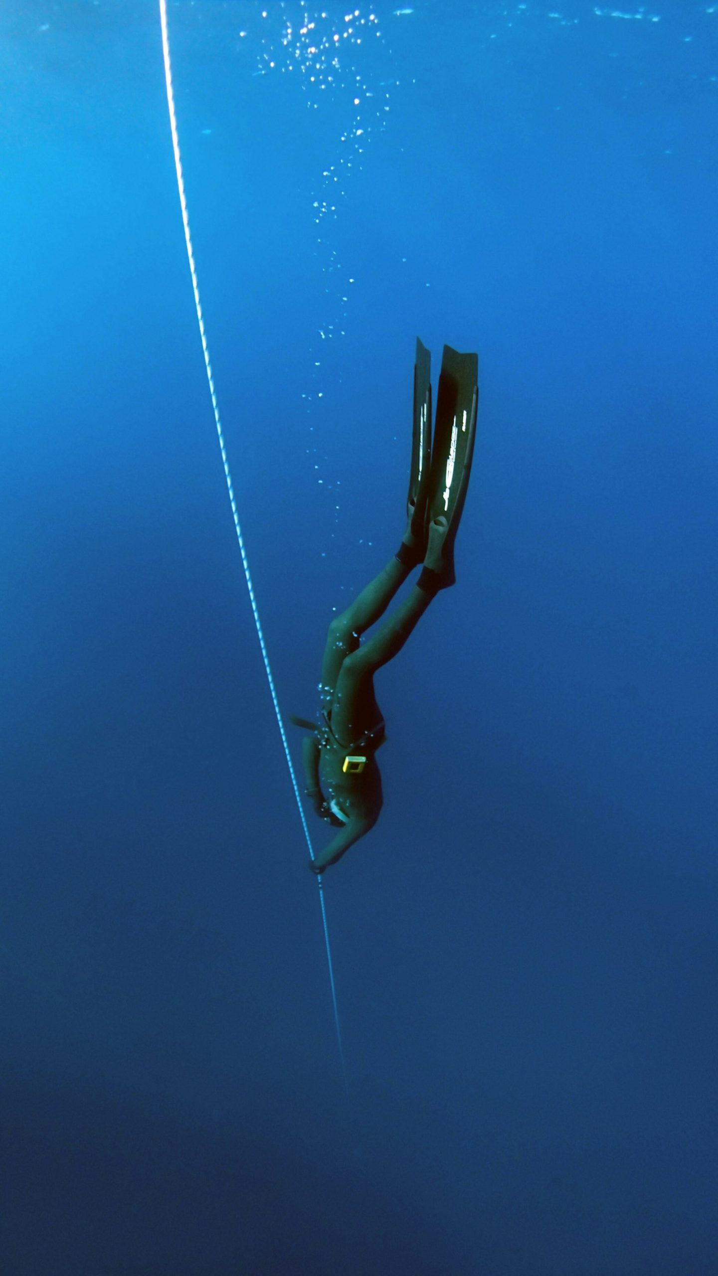 Freediver descending through clear water, the way divers feel the Barracuda Lake Coron thermocline