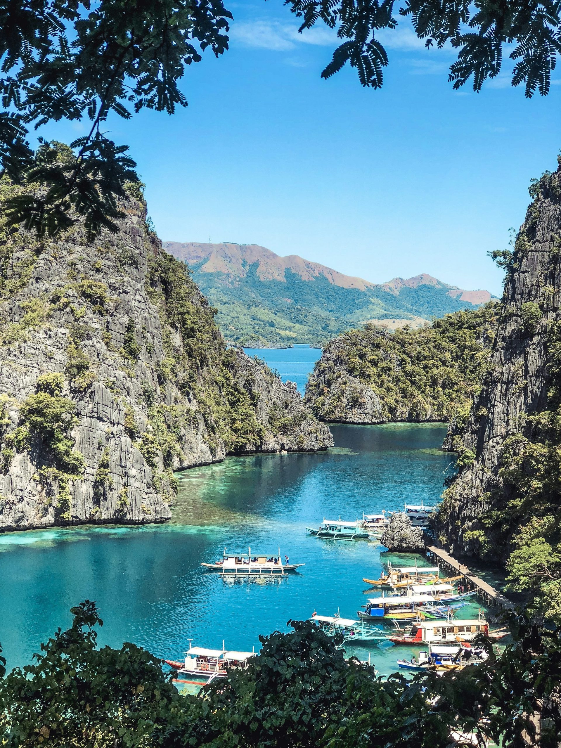 Boats docked at Kayangan Lake Coron, the reward at the end of the Puerto Princesa to Coron trip