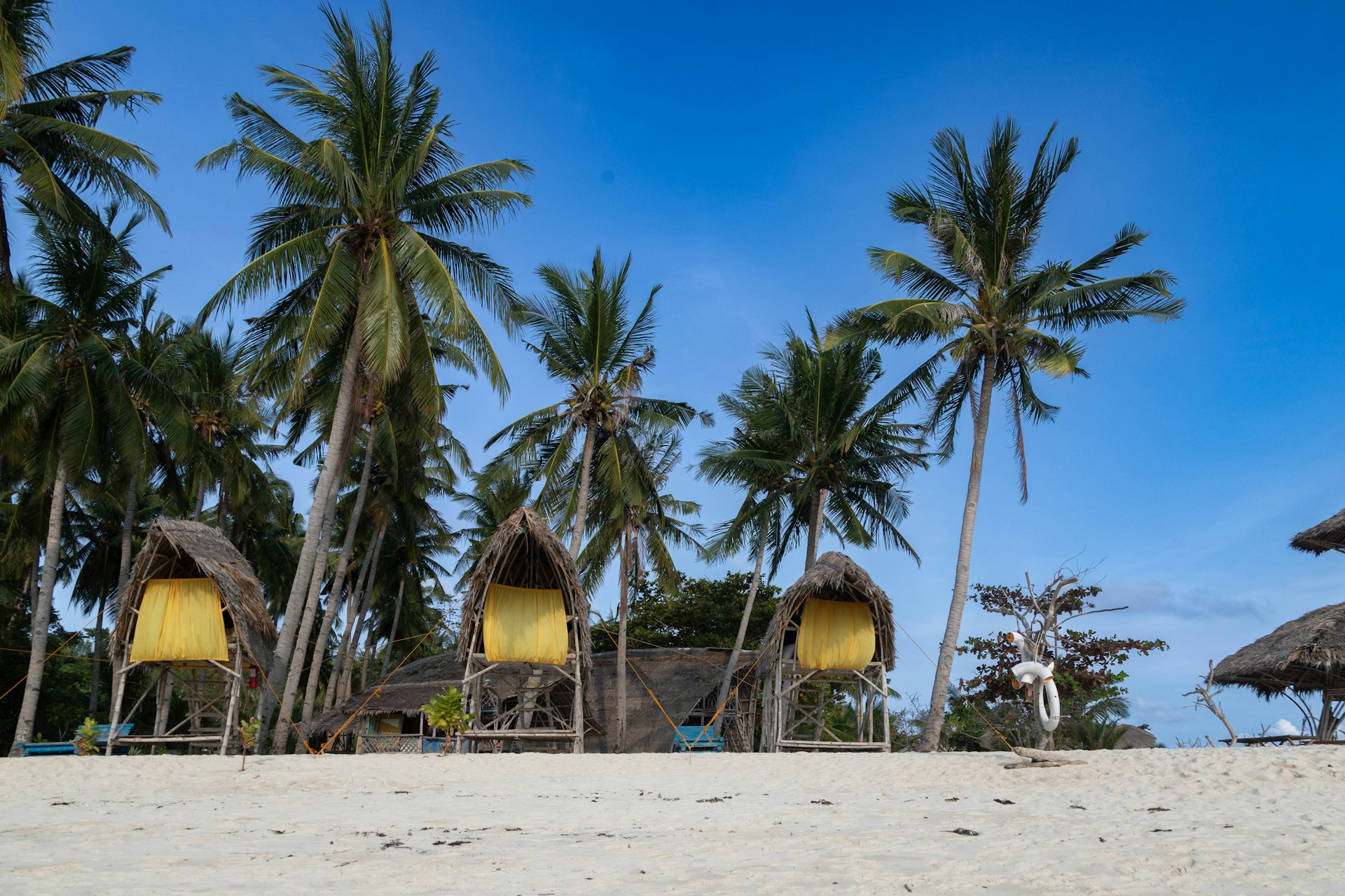 Thatched beach cottages under palm trees on a Palawan shoreline, typical of Port Barton accommodation