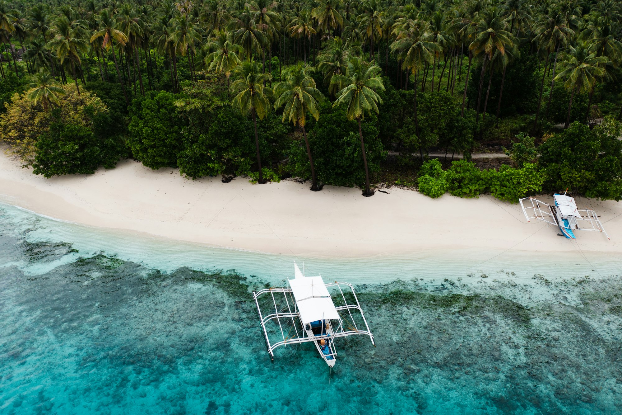 Island camp with white sand, turquoise water and an outrigger boat in Balabac, Palawan