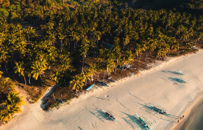 Aerial view of tour boats and palm trees on an El Nido beach in Palawan