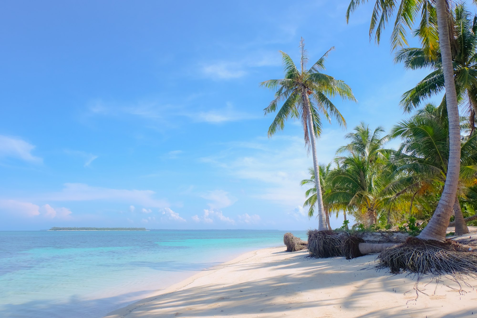 Palm trees and clear shallow water on a quiet Balabac beach in southern Palawan
