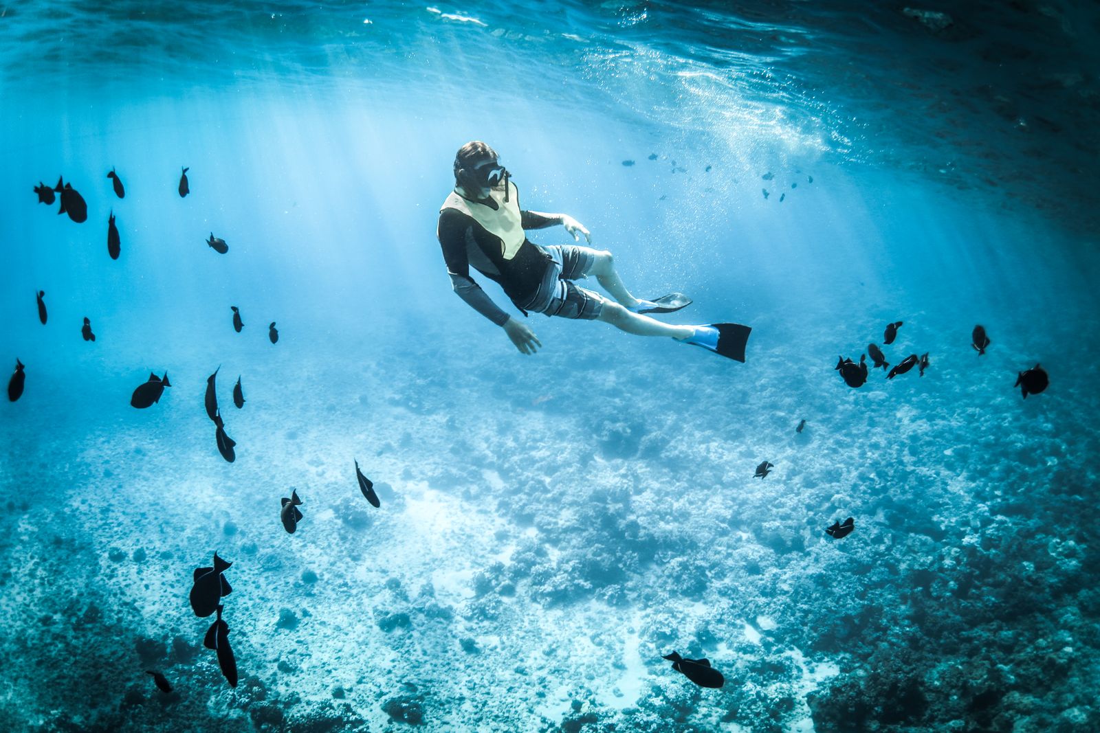 Snorkeler in mask exploring shallow coral, the setup you need for snorkeling Coron as a non-diver