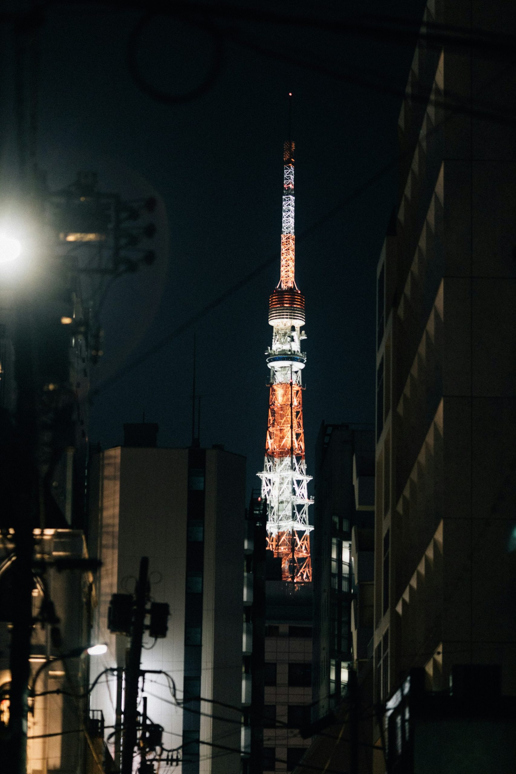 Tokyo Tower lit up at night between buildings during winter illumination season in Japan