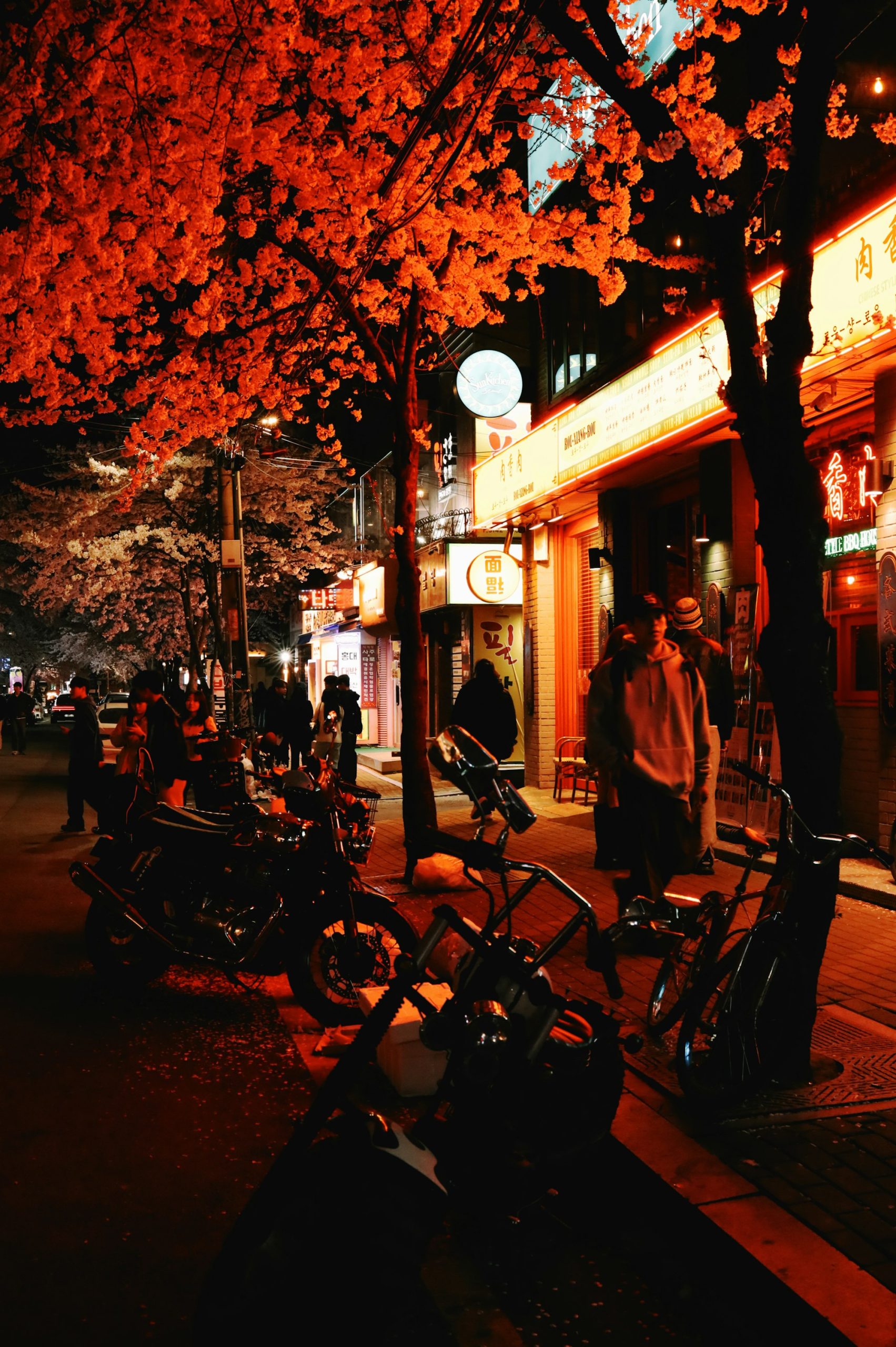 best-time-to-visit-south-korea-featured.jpg Seoul street at night under cherry blossoms, spring is the best time to visit South Korea for many