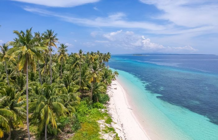 Palm-lined coastline and clear shallow water in Balabac, Palawan, near Candaraman Island