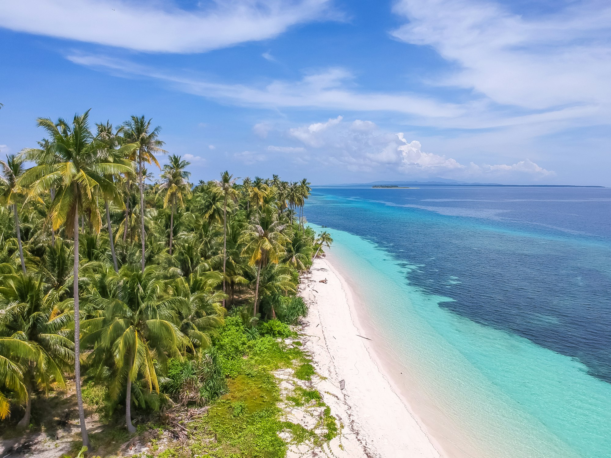 Palm-lined coastline and clear shallow water in Balabac, Palawan, near Candaraman Island