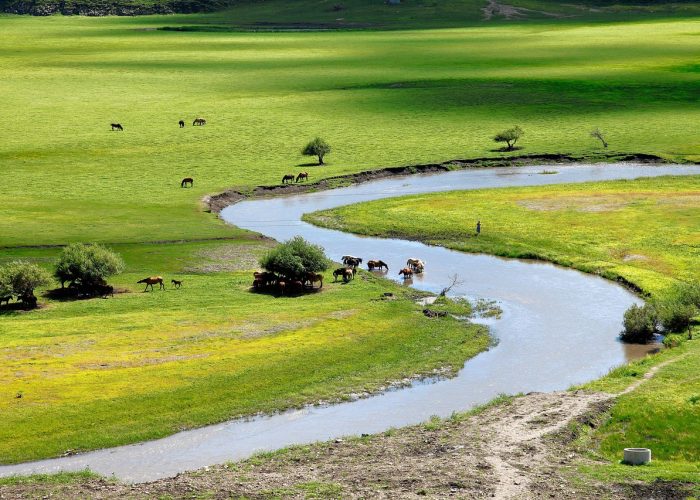 Grassland in Inner Mongolia, China