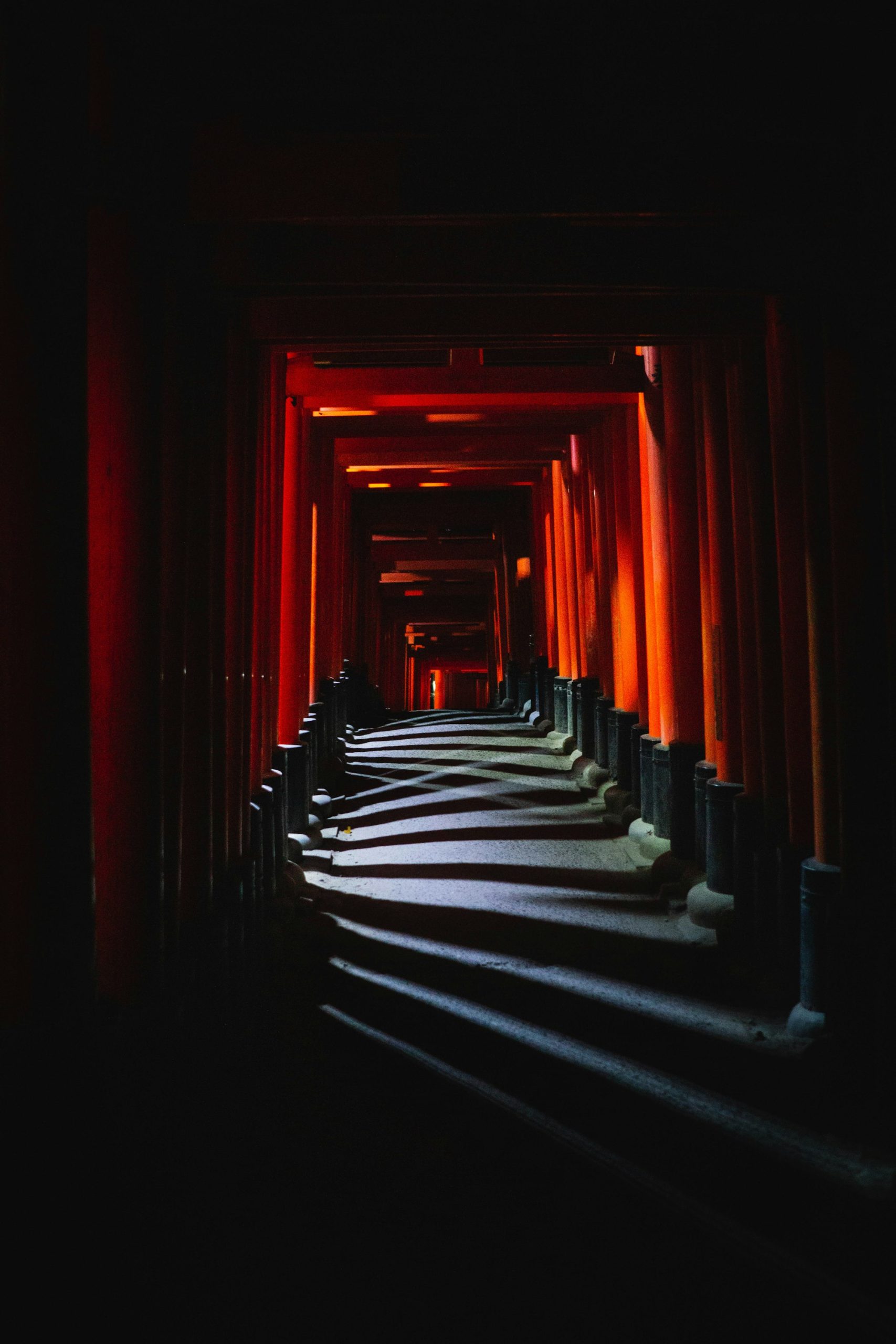 Orange torii gate tunnel at Fushimi Inari shrine in Kyoto on a 7-day Japan itinerary