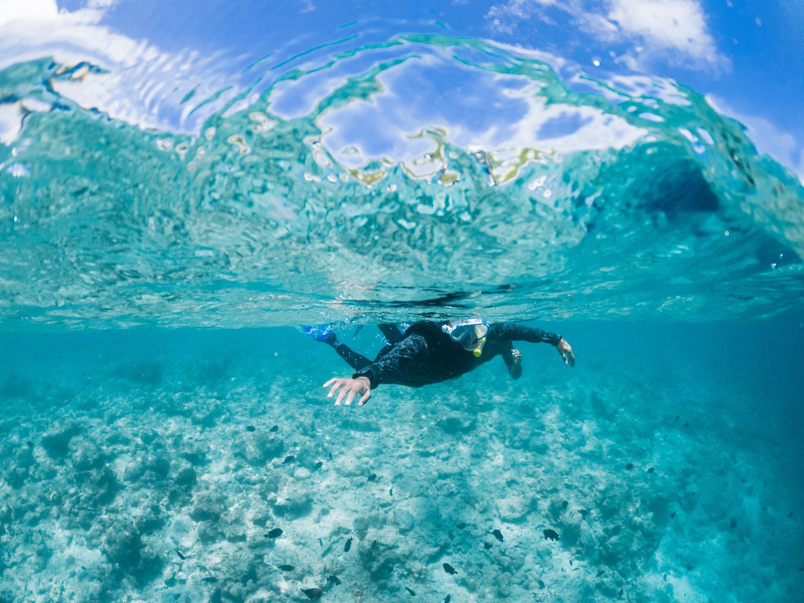 Snorkeler in goggles floating in turquoise seawater, gear tips from our Port Barton snorkeling guide