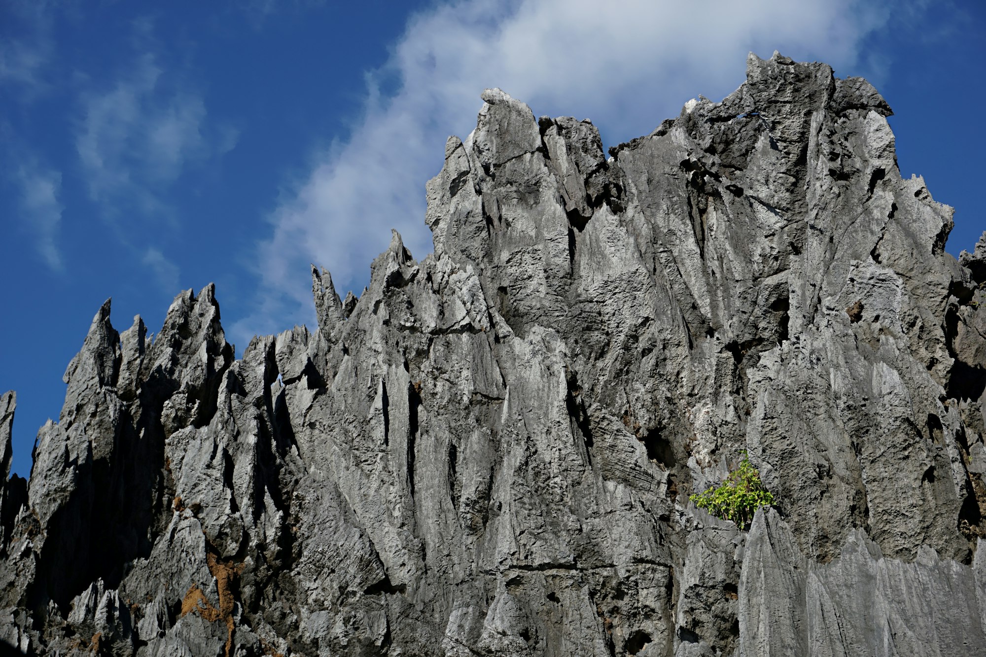 Jagged limestone karst rock face in Palawan, the same rock type climbed at Ugong Rock Puerto Princesa