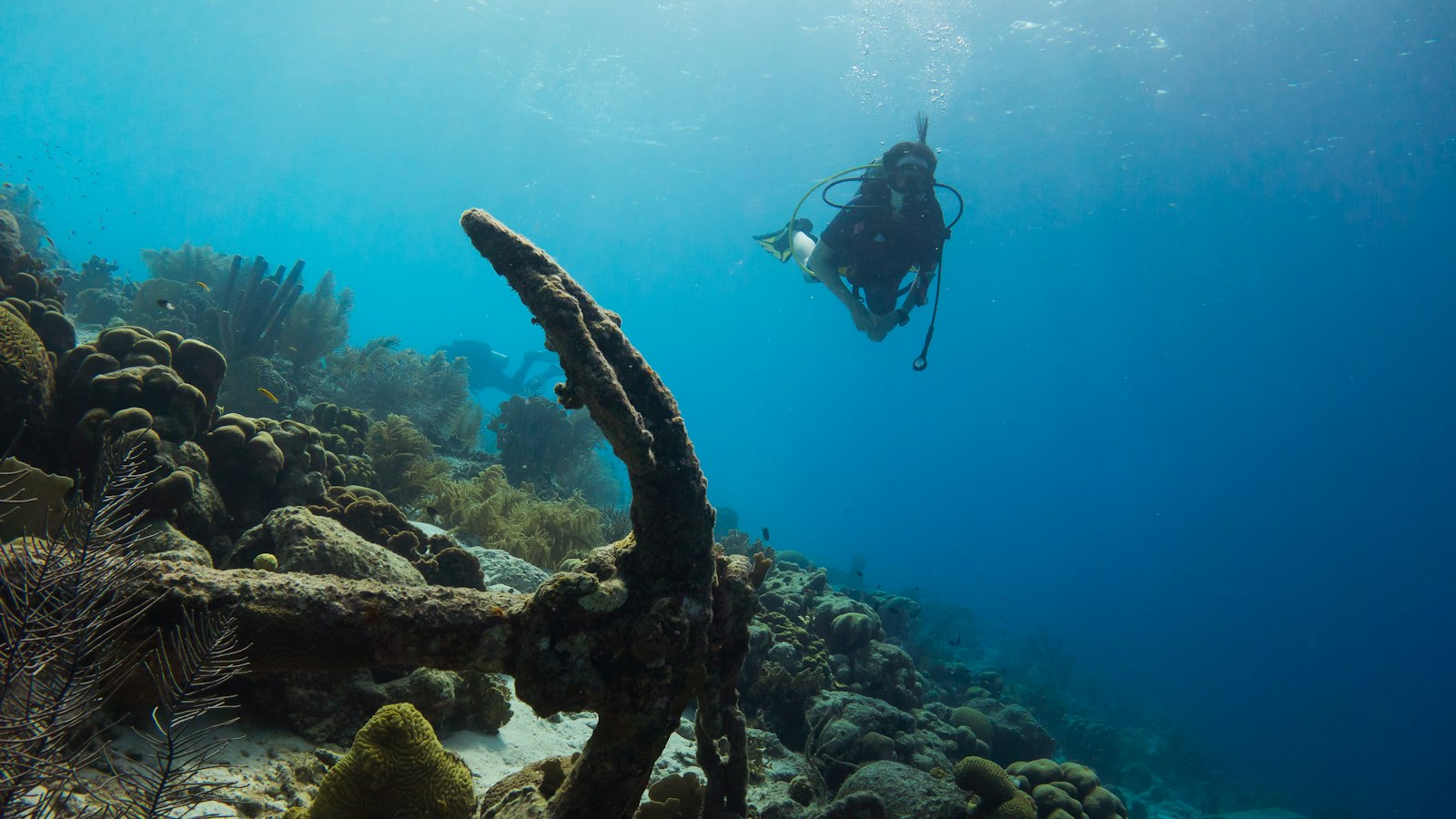 Scuba diver near a coral reef, illustrating the respectful diving etiquette Coron's wreck sites call for