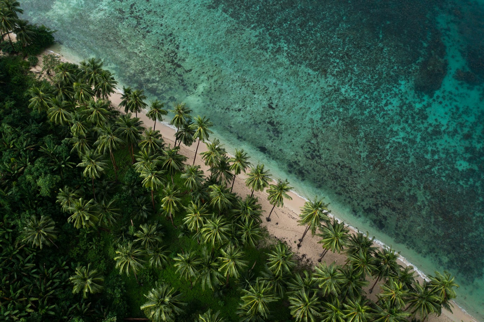 ww2-history-coron-sunken-japanese-fleet-tropical-palawan-c.jpg Tropical Palawan coastline, illustrating island travel around the province on the way to Coron